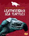 Leatherback Sea Turtles synopsis, comments