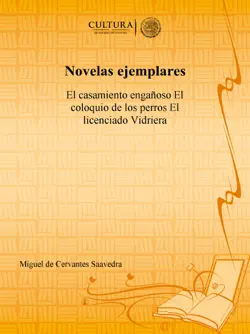 novelas ejemplares book cover image