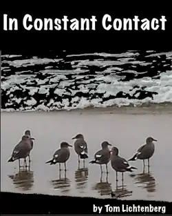 in constant contact book cover image