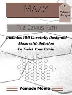 maze hexagon design vol. 1 book cover image