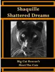 Shaquille Shattered Dreams synopsis, comments