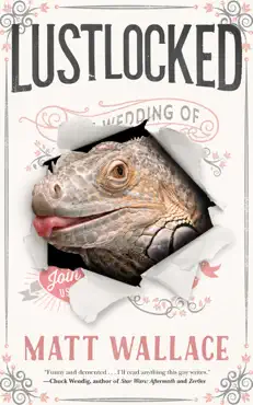 lustlocked book cover image