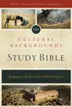 NIV, Cultural Backgrounds Study Bible synopsis, comments