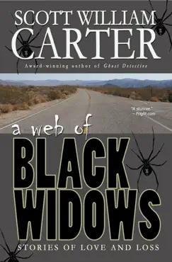 a web of black widows book cover image