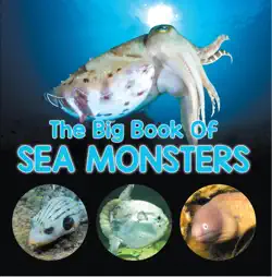 the big book of sea monsters (scary looking sea animals) book cover image