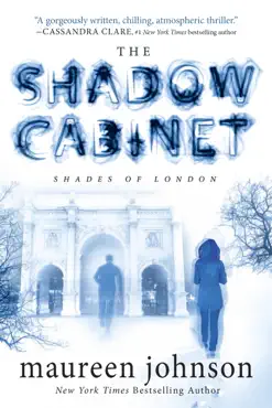 the shadow cabinet book cover image