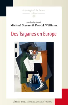 des tsiganes en europe book cover image