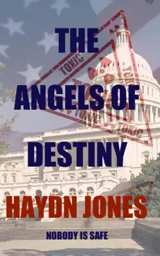 the angels of destiny (new edition) book cover image