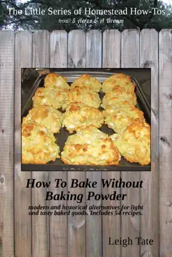 how to bake without baking powder book cover image