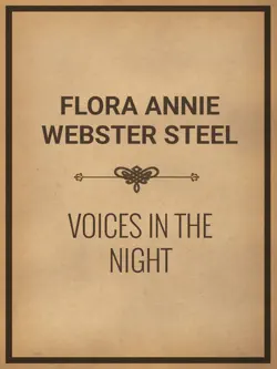 voices in the night imagen de la portada del libro