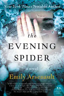 the evening spider book cover image
