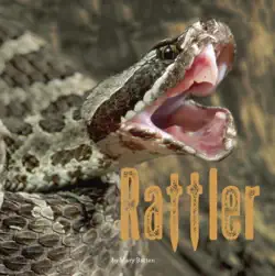 rattler book cover image