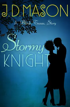 stormy knight book cover image