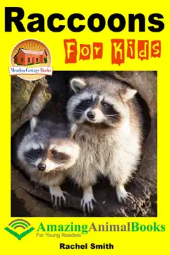 raccoons for kids imagen de la portada del libro