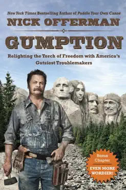 gumption book cover image
