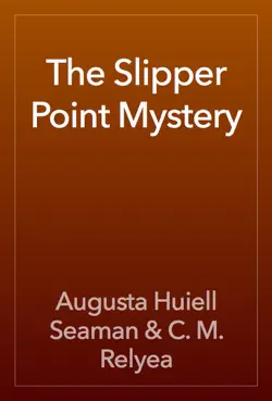 the slipper point mystery book cover image
