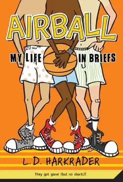 airball book cover image