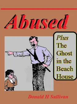 abused plus the ghost in the beach house book cover image