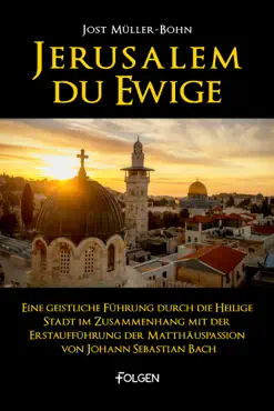 jerusalem du ewige book cover image