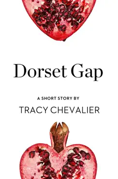 dorset gap book cover image