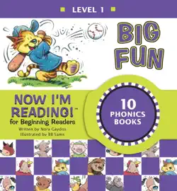 now i'm reading! level 1: big fun book cover image