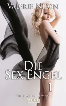 die sex-engel 1 - erotischer roman book cover image