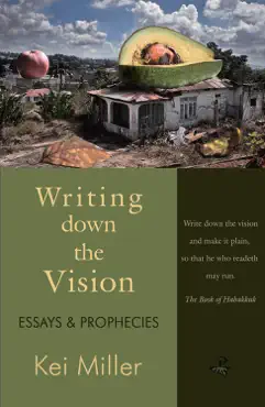 writing down the vision book cover image