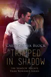 Trapped In Shadow synopsis, comments