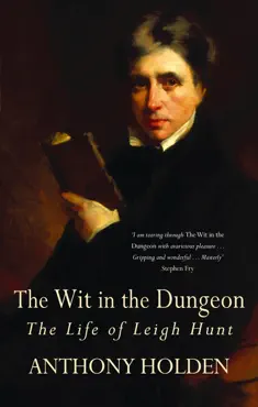 the wit in the dungeon imagen de la portada del libro