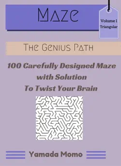maze triangular design vol. 1 book cover image
