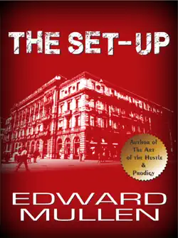 the set-up book cover image