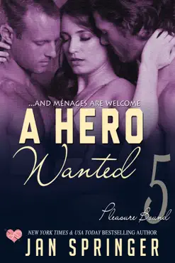 a hero wanted book cover image