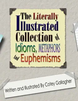 the literally illustrated collection of idioms, metaphors and euphemisms book cover image