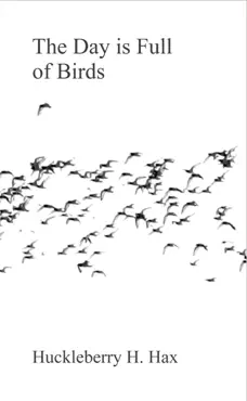 the day is full of birds book cover image