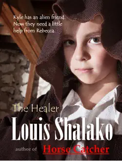 the healer book cover image