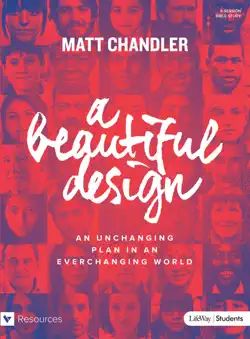 a beautiful design - teen bible study book cover image
