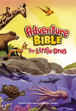 adventure bible for little ones book cover image