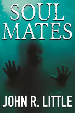 soul mates book cover image