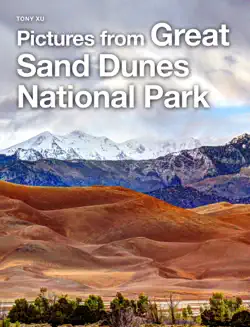 pictures from great sand dunes national park book cover image