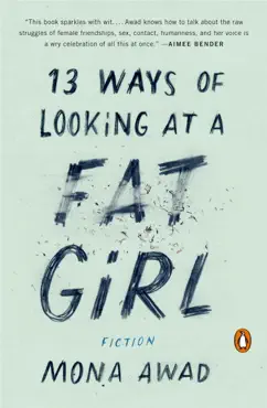 13 ways of looking at a fat girl book cover image