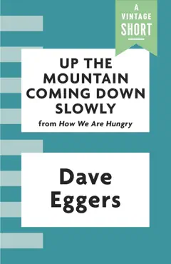 up the mountain coming down slowly book cover image