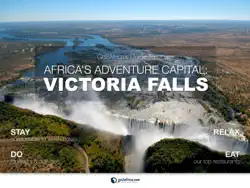 victoria falls guide book cover image