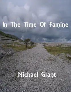 in the time of famine book cover image