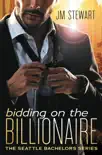 Bidding on the Billionaire synopsis, comments