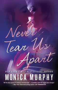 never tear us apart book cover image