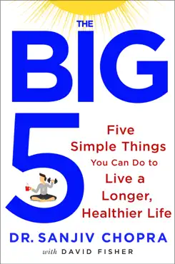 the big five book cover image