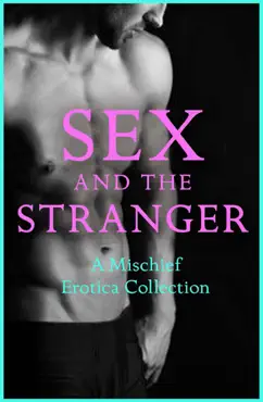sex and the stranger 2 book cover image