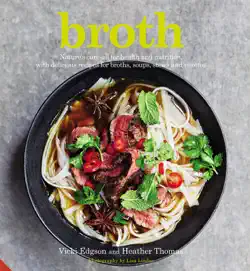 broth book cover image