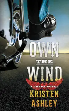 own the wind book cover image