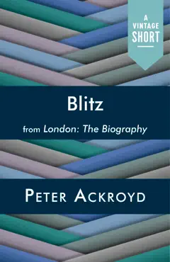 blitz book cover image